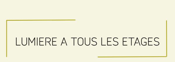 abat jour original unique et sur mesure